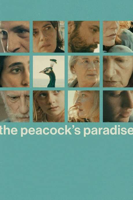 The Peacock’s Paradise
